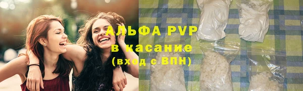 прущая мука Богданович